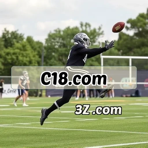 c18.com Avaliações